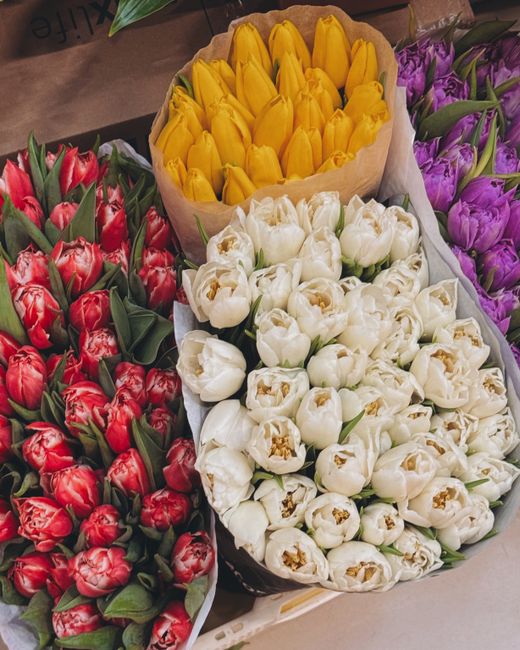 A close-up view of a bouquet of fresh tulips wrapped in paper, featuring vibrant yellow tulips with closed petals and smooth green stems, surrounded by other flower arrangements including red and whit