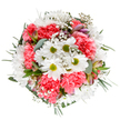 This captivating bouquet from Charlton Flowers is a joyful ode to springtime, expertly crafted with the vibrancy that defines SE7. Centered around pure white daisies glimmering with fresh green centers, the arrangement radiates cheerful simplicity and welcomes the eye. Generous coral-pink carnations-plush, ruffled, and warm-spiral outwards, offering comfort and exuberance that recall neighbourhood celebrations and garden parties. Airy gypsophila swirls throughout, imbuing the bouquet with lightness and a celestial charm, while hints of blush and purple alstroemeria buds provide sophisticated depth. Verdant eucalyptus leaves mingle with darker greens, creating a harmonious backbone that supports and frames the composite beauty. The end result is equal parts tranquil and exuberant-ideal for birthdays, tokens of appreciation, or a spontaneous gift for someone near Charlton Village. Every element speaks of careful local artistry, making the bouquet not just an arrangement, but a heartfelt expression of community and the joy of sharing flowers in one of London's greenest neighbourhoods.